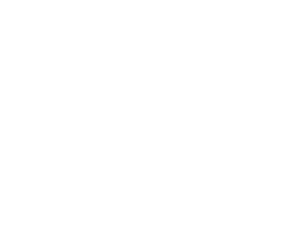 九元