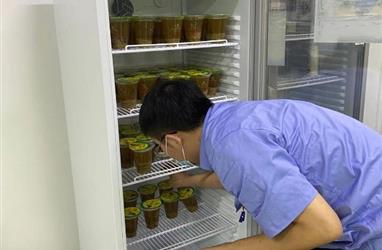 防暑降溫綠豆湯 關(guān)愛員工送清涼